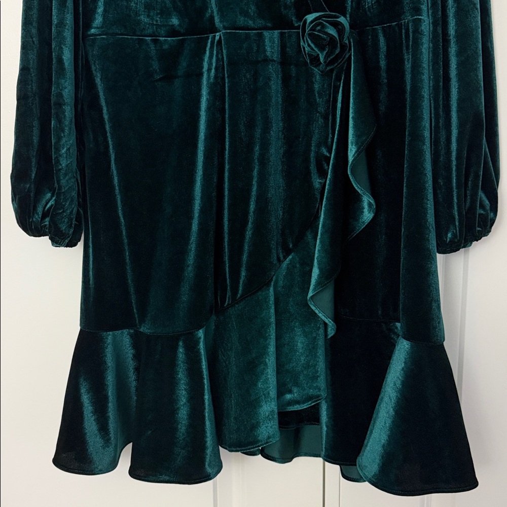 Melonie T Velvet Dress, Size 16P - Picture 4 of 7